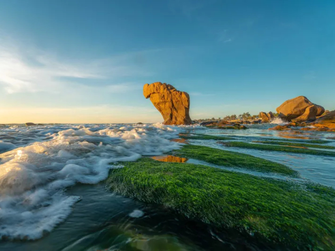 THUÊ XE ĐI BÌNH THUẬN