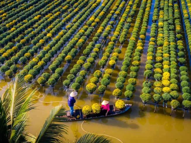 THUÊ XE ĐI ĐỒNG THÁP